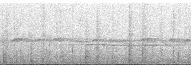 Todirostre roussâtre - ML134890