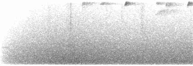 Speckled Hummingbird - ML134890581