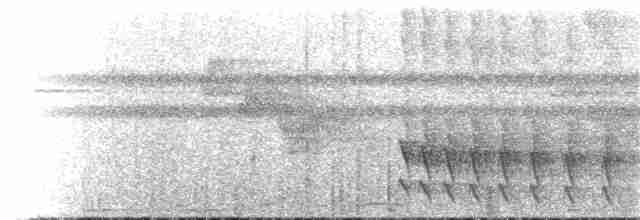 Ticotico de Chiriquí - ML134905701