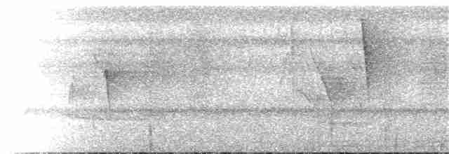 Band-tailed Barbthroat - ML134910241