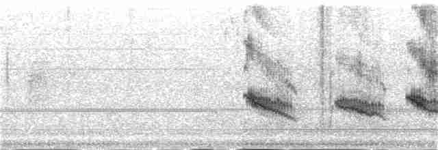 Dominik Palmiyekuşu - ML134926041