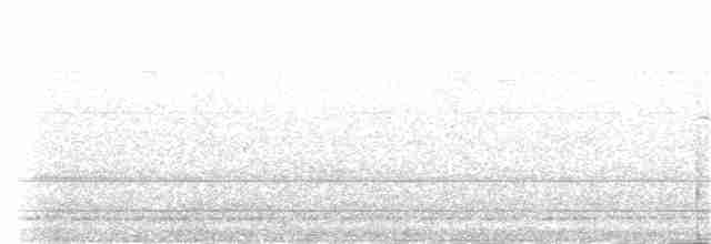 Dominik Palmiyekuşu - ML134926421