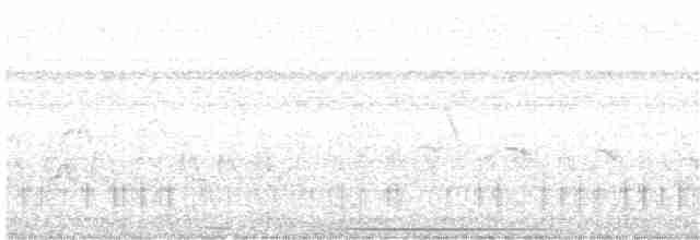 White-tufted Grebe - ML134930551