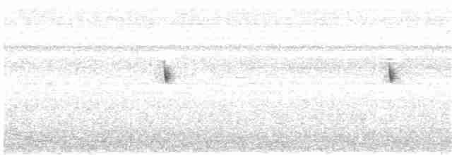 Scissor-tailed Nightjar - ML134934281