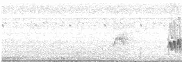 Narrow-billed Woodcreeper - ML134955481
