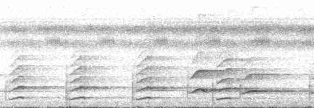Белогрудый тукан (tucanus) - ML134960