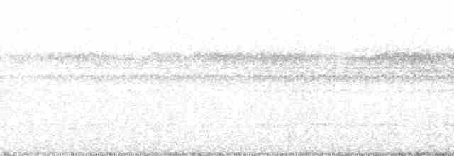 Dreibinden-Ameisenvogel - ML134999