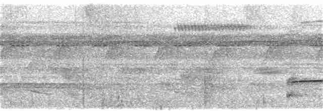 Большая якамара - ML135009241
