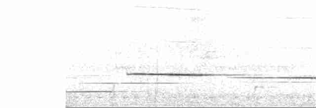 Kestane Göğüslü Çıtkuşu - ML135038641