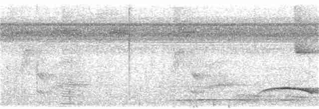Troglodyte coraya - ML135055271