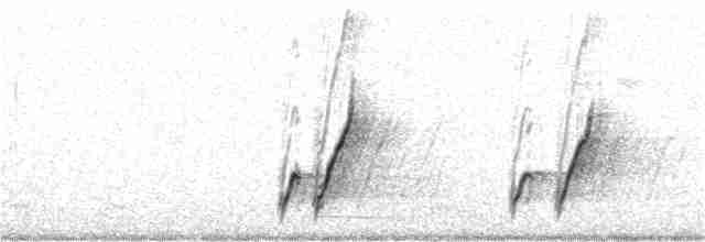 Curve-billed Thrasher - ML135060541