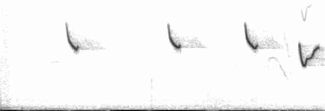 Malachite Sunbird - ML135070291
