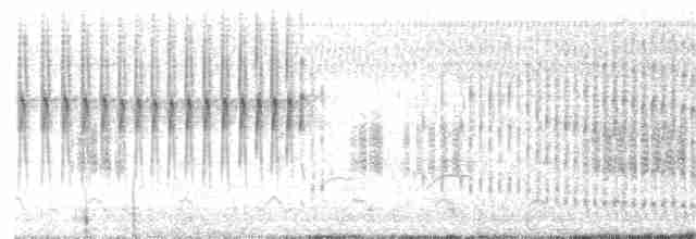 Straight-billed Reedhaunter - ML135082141