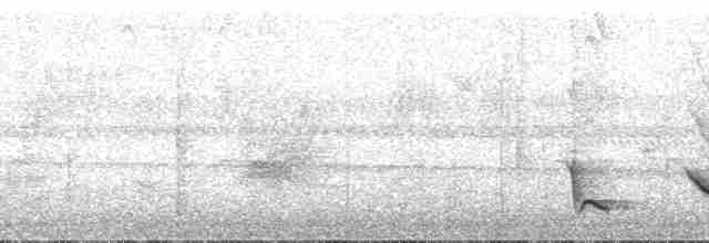 Bluish-gray Saltator - ML135092