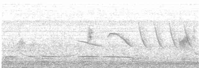 Weißbürzelschwalbe - ML135092891