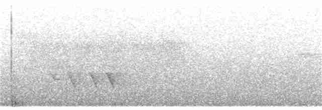 Gray-bellied Tesia - ML135102841