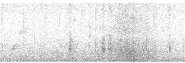 Пестрогорлая юхина - ML135134961
