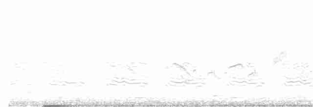 Large Gray Babbler - ML135185541