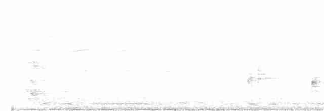 Australian Reed Warbler - ML135197991