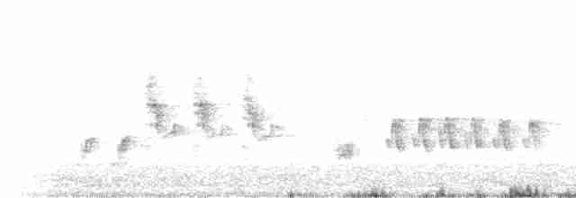 Australian Reed Warbler - ML135198021