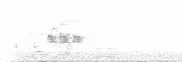 Australian Reed Warbler - ML135198031