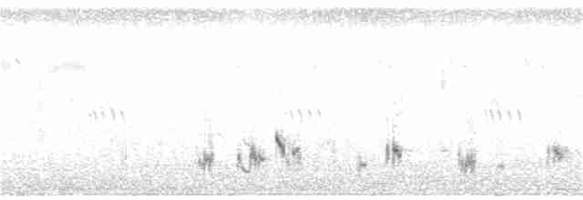 Styan's Bulbul - ML135213011
