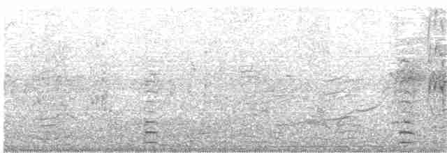 ハジロオオバン - ML135213911