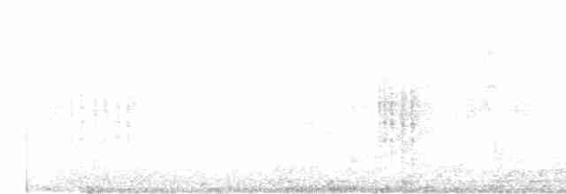 Manchurian Bush Warbler - ML135238711