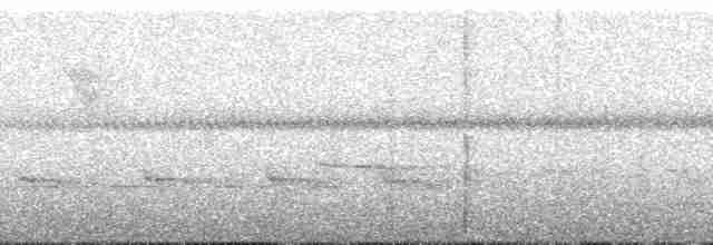 Gelbbrust-Ameisenschnäpper - ML135245