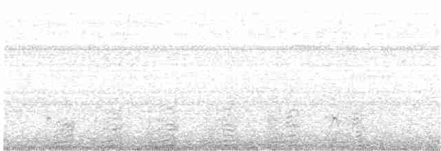 Ibis à face blanche - ML135266491