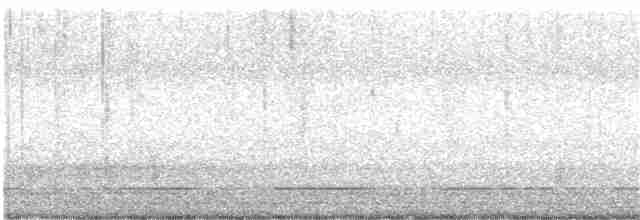 Steller's Jay (Coastal) - ML135288241
