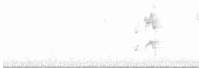 drozd stěhovavý - ML135296521