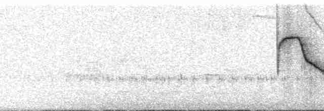 Kara Suratlı Çalı Serçesi - ML135302