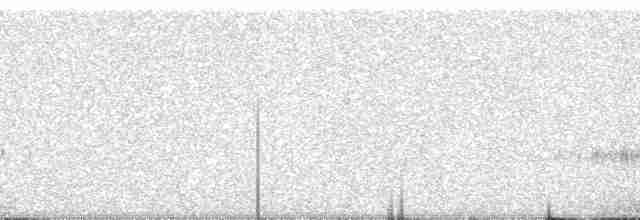 kolibřík sluneční - ML135307