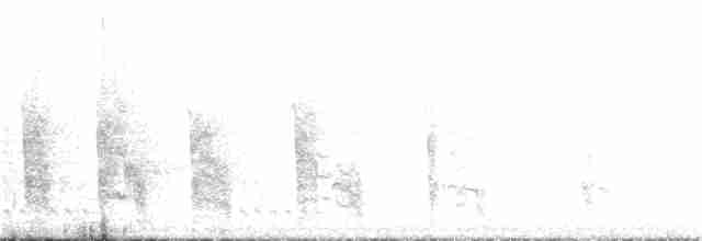 Берберийский кеклик - ML135366091