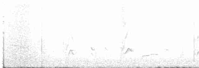 Зарянковый снегирь - ML135369251