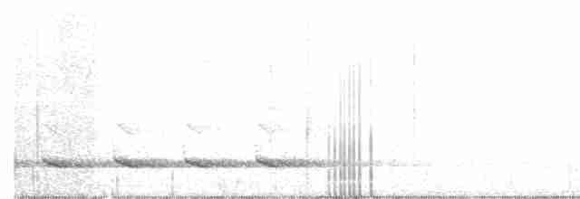 White-cheeked Partridge - ML135370421