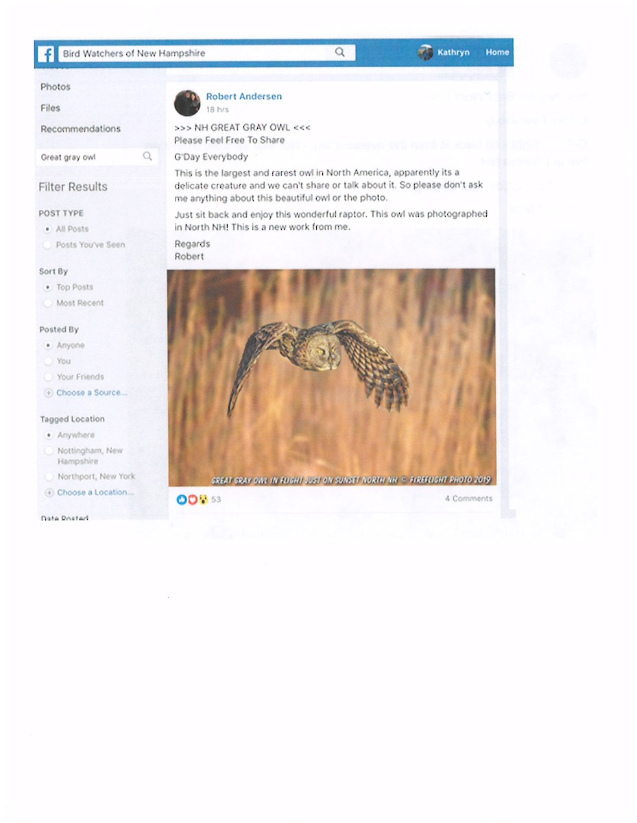 Great Gray Owl - NH Bird Records Data
