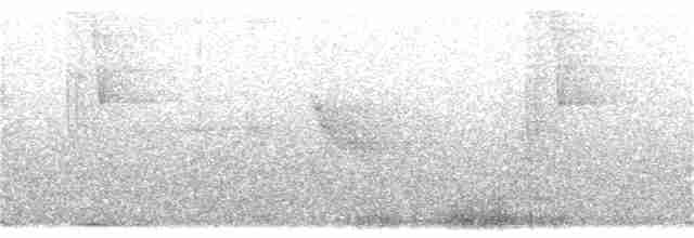 Rufous-breasted Wren - ML135397241