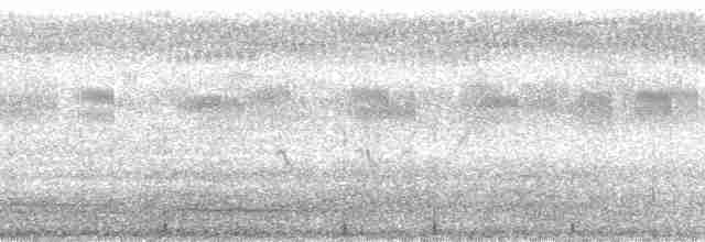 marabu africký - ML135444