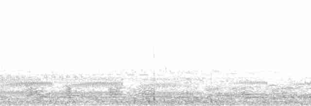 kamenáček černohlavý - ML135466
