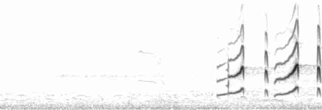 kamenáček černohlavý - ML135467