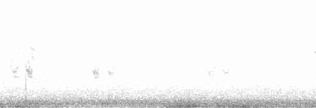 Hudson Körfezi Serçesi - ML135476