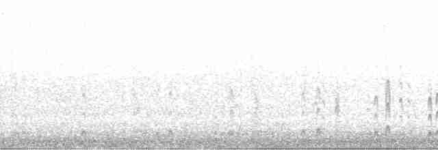Плавунець круглодзьобий - ML135477
