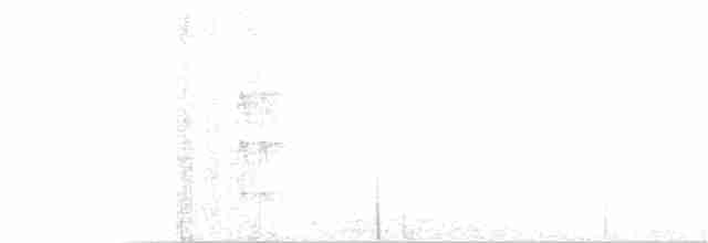 Лопатодзьоб північний - ML135483001