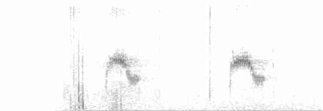 Karolina Çıtkuşu (albinucha/subfulvus) - ML135483231