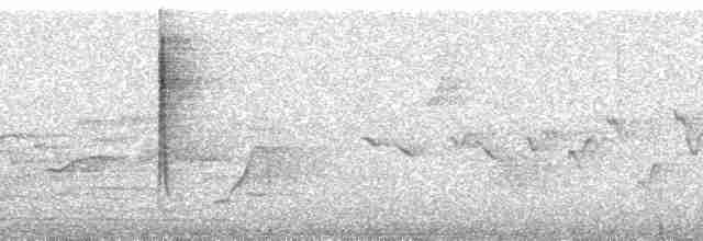 Turuncu Karınlı Çinte - ML135531