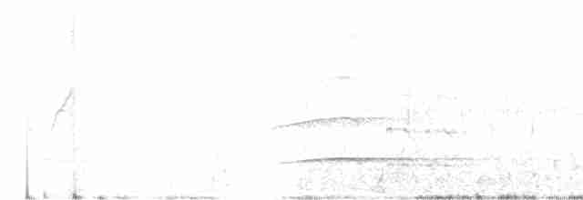 Değişken Atmaca Kartalı (cirrhatus/ceylanensis) - ML135559821