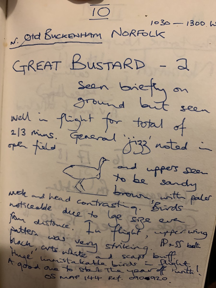 Great Bustard - Patrick Finch