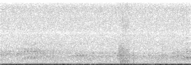 krocan divoký - ML135601101